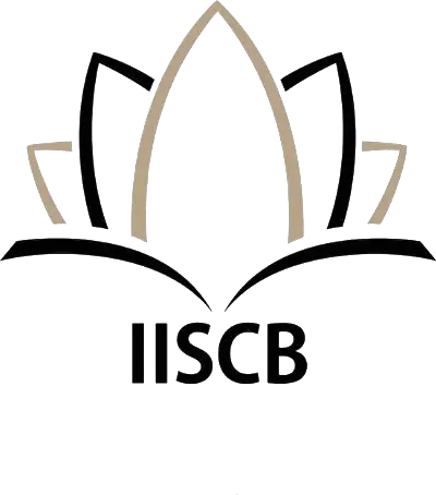 موسسه مطالعات و همکاری بین المللی صنعت ساختمان